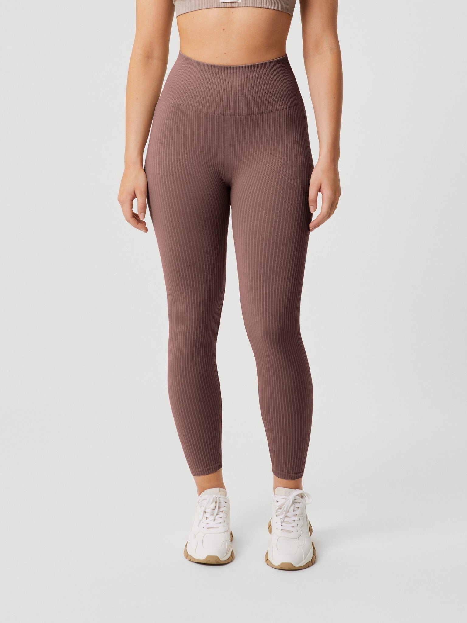 Björn Borg STUDIO SEAMLESS RIB TIGHTS, TENNISTIGHTS DAM – GYLLENBRUN